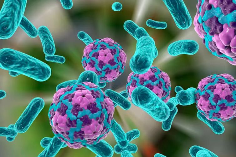 病原微生物香蕉视频色版下载完整污水处理设备，病原微生物废水介绍